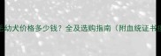 50天大金毛幼犬价格多少钱全及选购指南附血统证书疫苗清单