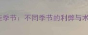 母猫咪绝育最佳季节不同季节的利弊与术后护理全攻略