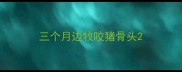 三个月边牧咬猪骨头