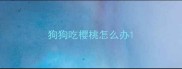 狗狗吃樱桃怎么办