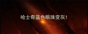 哈士奇蓝色眼珠变灰