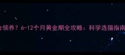 猫咪多大适合领养6-12个月黄金期全攻略科学选猫指南与饲养要点