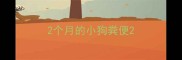 2个月的小狗粪便