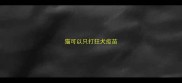 猫可以只打狂犬疫苗