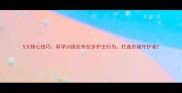 5大核心技巧科学训练拉布拉多护主行为打造忠诚守护者