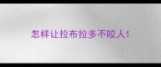 怎样让拉布拉多不咬人