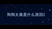 狗狗太臭是什么原因