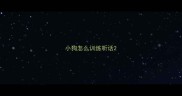 小狗怎么训练听话
