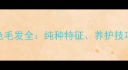 哈士奇火焰色毛发全纯种特征养护技巧与选购指南