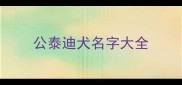 公泰迪犬名字大全