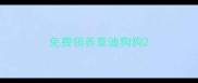 免费领养泰迪狗狗