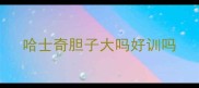 哈士奇胆子大吗好训吗