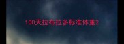 100天拉布拉多标准体重