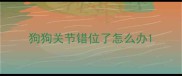 狗狗关节错位了怎么办