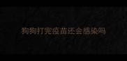 狗狗打完疫苗还会感染吗