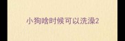 小狗啥时候可以洗澡