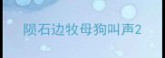 陨石边牧母狗叫声