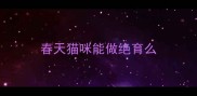 春天猫咪能做绝育么