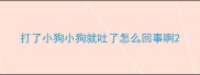 打了小狗小狗就吐了怎么回事啊