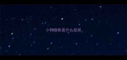 小狗疫苗是什么疫苗