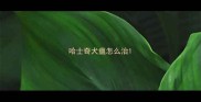 哈士奇犬瘟怎么治