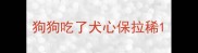 狗狗吃了犬心保拉稀