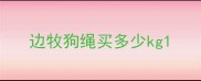 边牧狗绳买多少kg