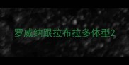 罗威纳跟拉布拉多体型