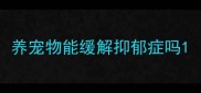 养宠物能缓解抑郁症吗