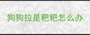 狗狗拉是粑粑怎么办