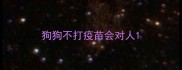 狗狗不打疫苗会对人