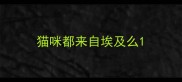 猫咪都来自埃及么