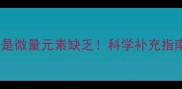 金毛出现这些症状可能是微量元素缺乏科学补充指南附诊断与预防方案