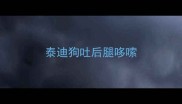泰迪狗吐后腿哆嗦