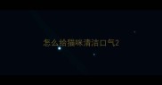 怎么给猫咪清洁口气