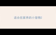 适合在家养的小宠物