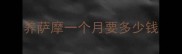 养萨摩一个月要多少钱