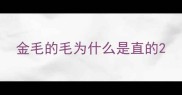 金毛的毛为什么是直的
