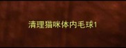 清理猫咪体内毛球