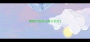 狗狗打疫苗从脖子后打