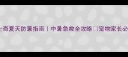 哈士奇夏天防暑指南中暑急救全攻略宠物家长必看