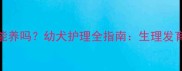 1个月大小狗能养吗幼犬护理全指南生理发育与饲养要点