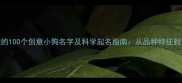 最受欢迎的100个创意小狗名字及科学起名指南从品种特征到文化寓意
