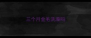 三个月金毛洗澡吗