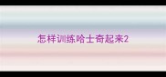 怎样训练哈士奇起来
