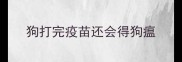狗打完疫苗还会得狗瘟