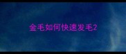 金毛如何快速发毛