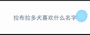 拉布拉多犬喜欢什么名字