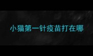小猫第一针疫苗打在哪