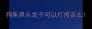 狗狗鼻头发干可以打疫苗么